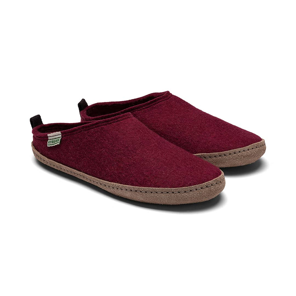 Pair of maroon slippers on a white background