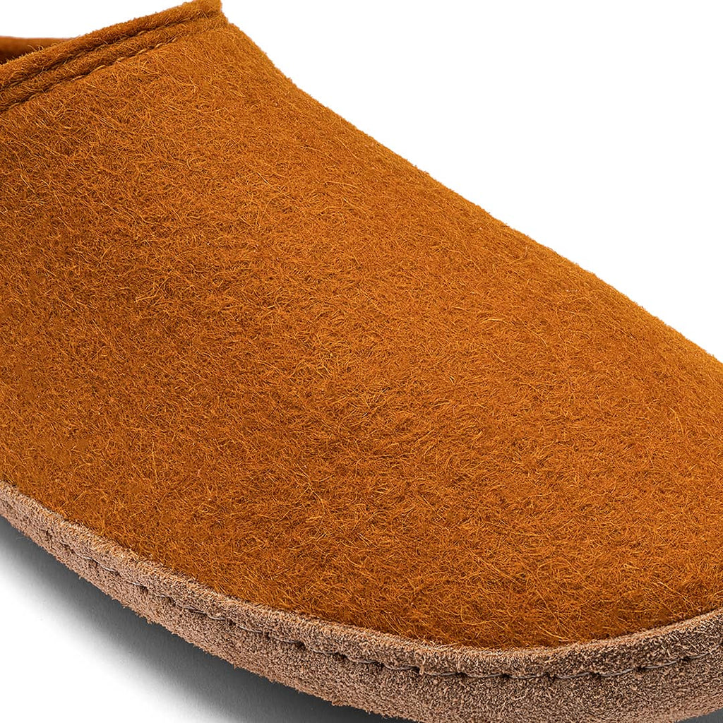 Brown slipper on a white background