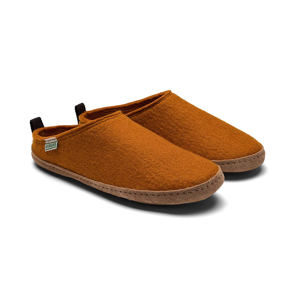 Pair of brown slippers on a white background