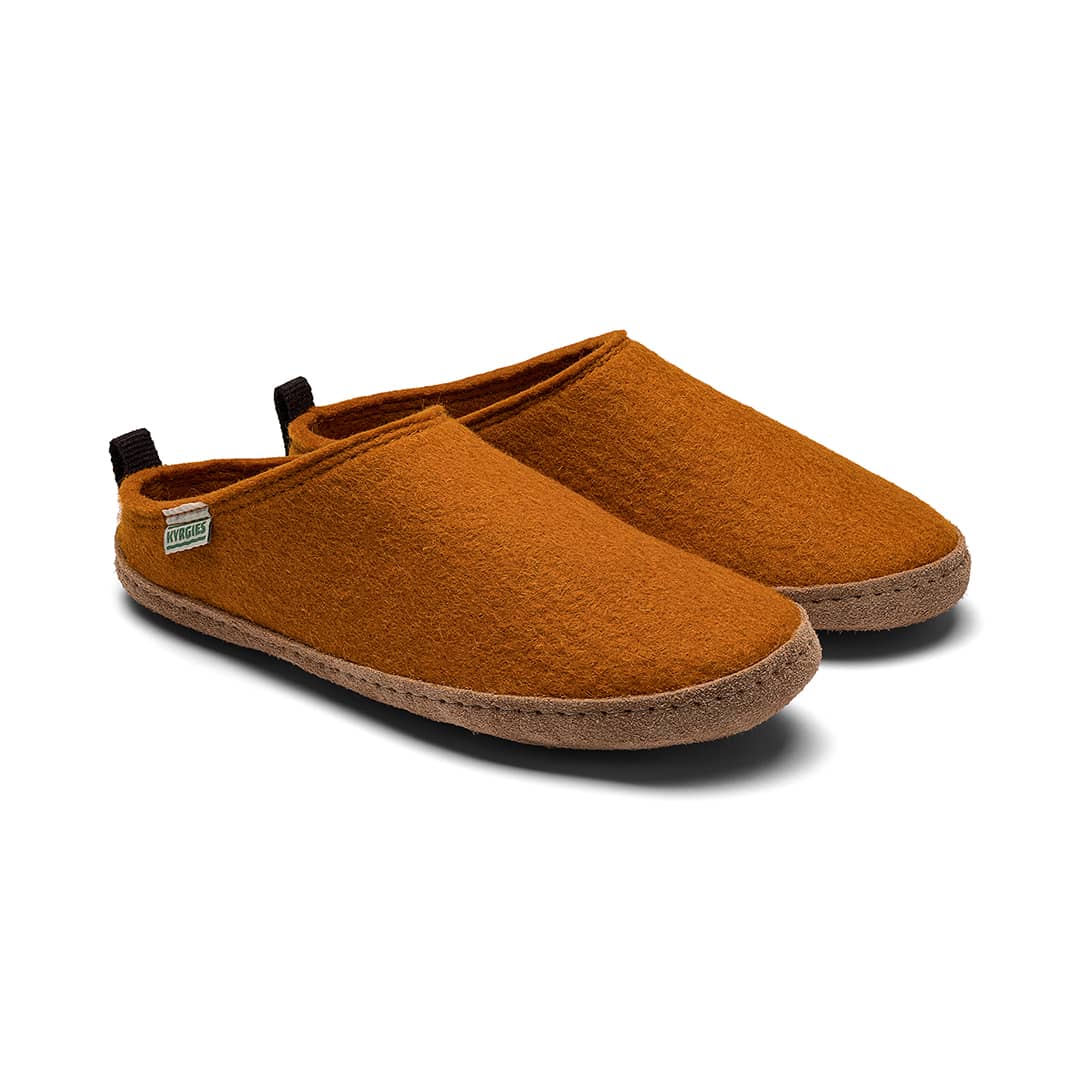 Pair of brown slippers on a white background